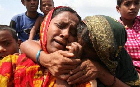 Зона бедствия - циклон (17 фото)