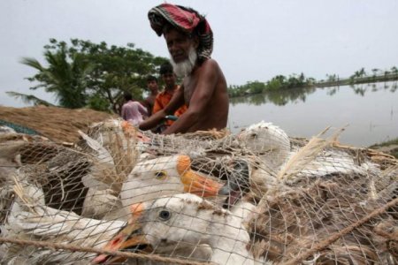 Зона бедствия - циклон (17 фото)