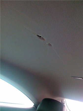 Выстрел от Газели (6 фото)