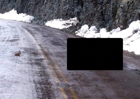 Последний поединок (6 фото)