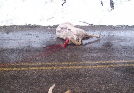 Последний поединок (6 фото)