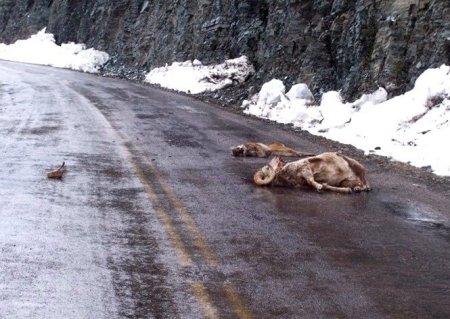 Последний поединок (6 фото)