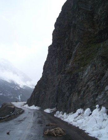 Последний поединок (6 фото)