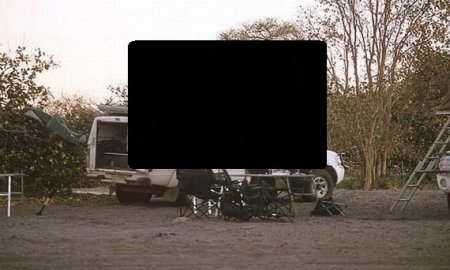 Испорченный пикник (12 фото)