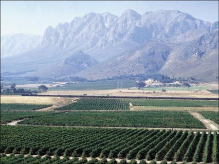 Поезд Pride of Africa (17 фото)