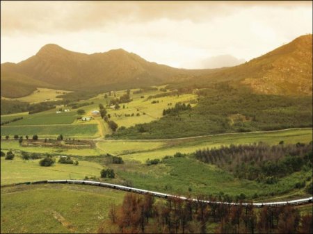 Поезд Pride of Africa (17 фото)