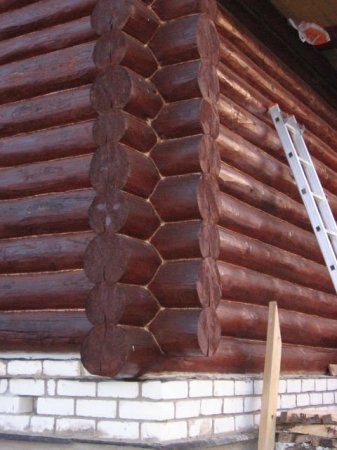 Как срубить дом (6 фото)