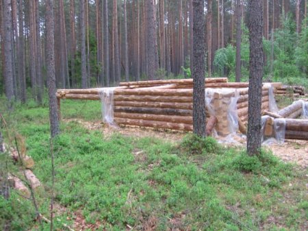 Как срубить дом (6 фото)