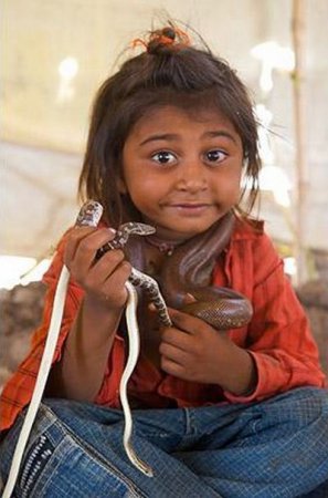 Маленькие заклинатели змей (15 фото)