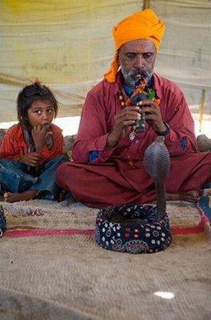 Маленькие заклинатели змей (15 фото)