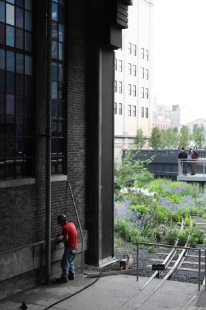 Парк вместо метро (19 фото)