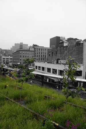 Парк вместо метро (19 фото)