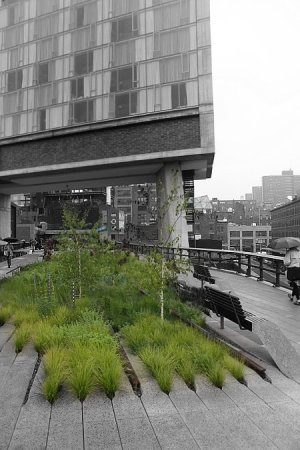 Парк вместо метро (19 фото)