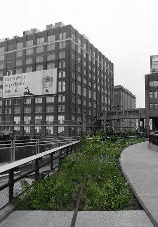 Парк вместо метро (19 фото)