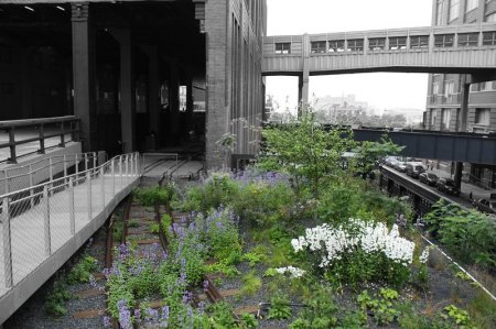 Парк вместо метро (19 фото)