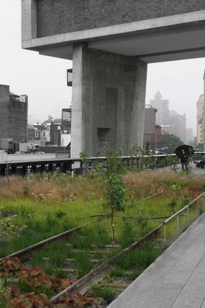 Парк вместо метро (19 фото)