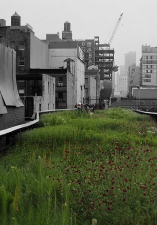 Парк вместо метро (19 фото)