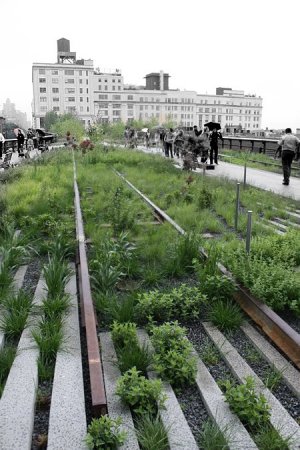 Парк вместо метро (19 фото)