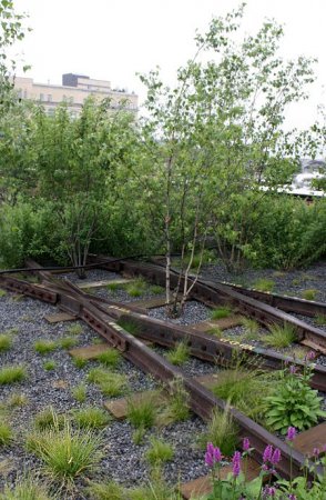 Парк вместо метро (19 фото)