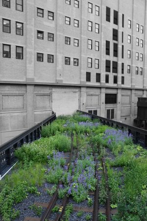 Парк вместо метро (19 фото)