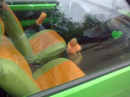 Тюнинх (3 фото)