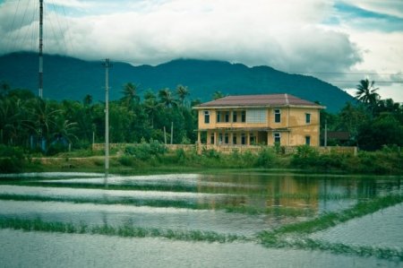 Вьетнам (24 фото)