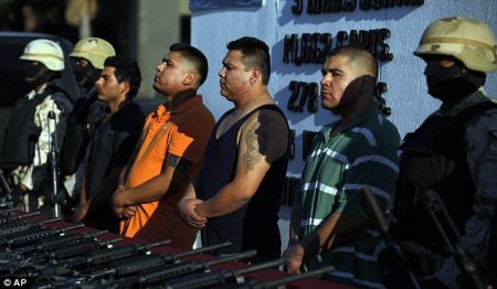 Кокаин в акулах (6 фото)