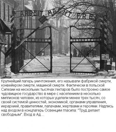 Фотографии, которые потрясли мир