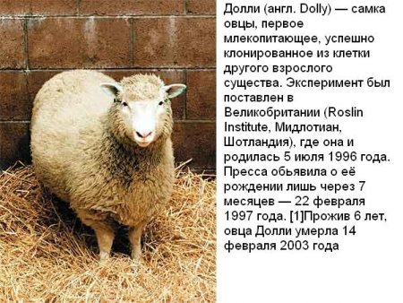 Фотографии, которые потрясли мир