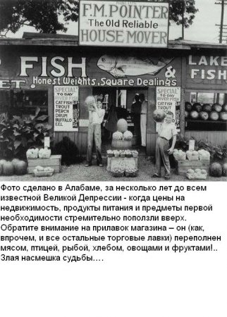 Фотографии, которые потрясли мир