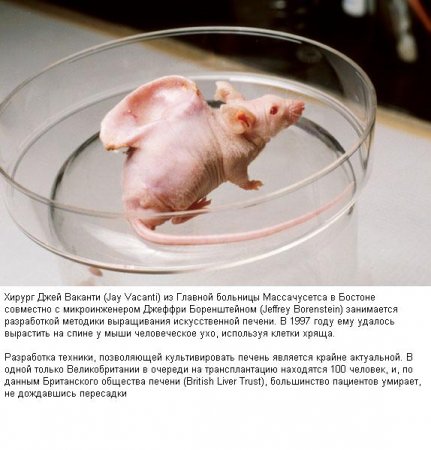 Фотографии, которые потрясли мир