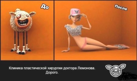 Забавные картинки