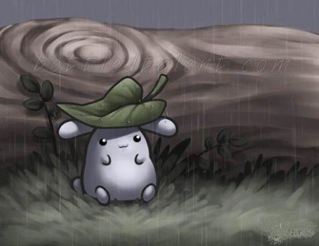 Зверьки от Samantha Whitten