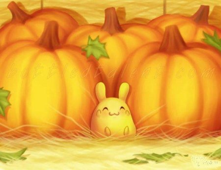 Зверьки от Samantha Whitten