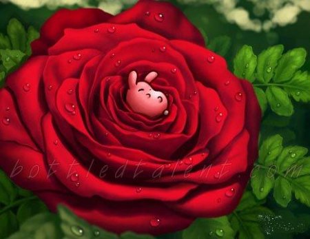 Зверьки от Samantha Whitten