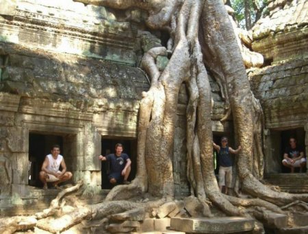 Деревья_ красивые и удивительные (33 фотографии)