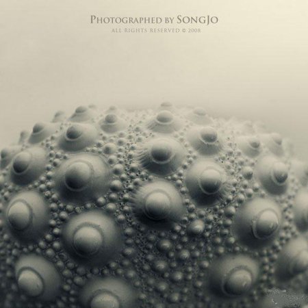 Фотографии Jo Song