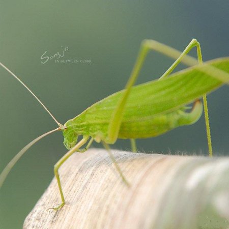 Фотографии Jo Song