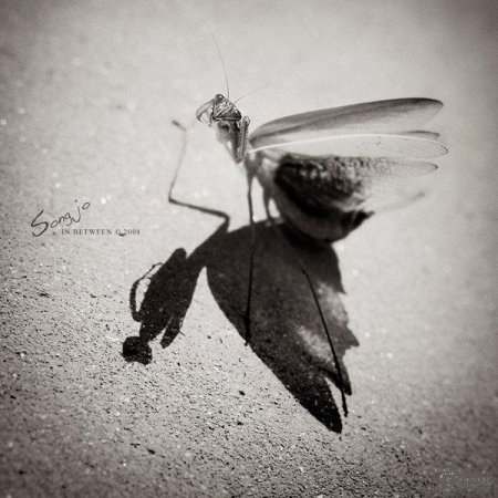 Фотографии Jo Song