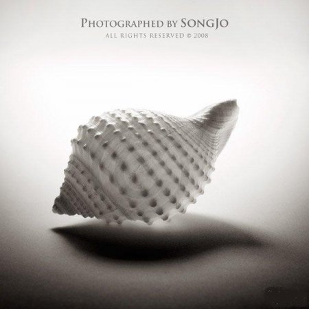 Фотографии Jo Song