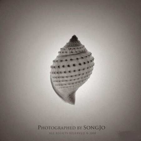 Фотографии Jo Song