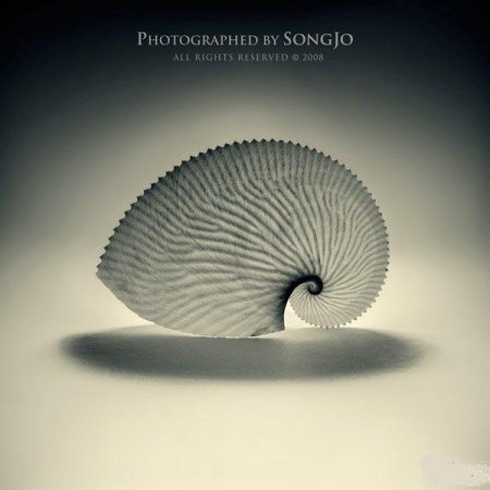 Фотографии Jo Song