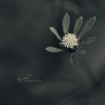 Фотографии Jo Song