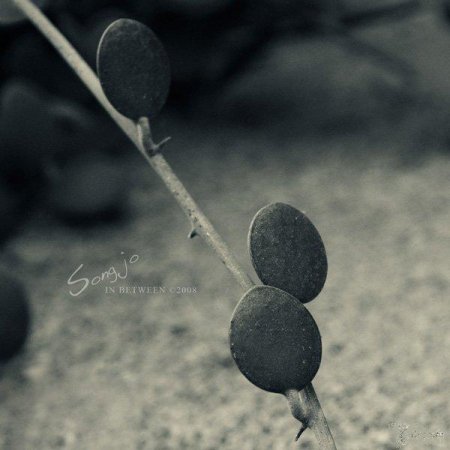 Фотографии Jo Song