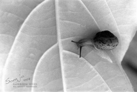 Фотографии Jo Song