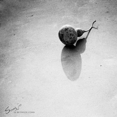 Фотографии Jo Song