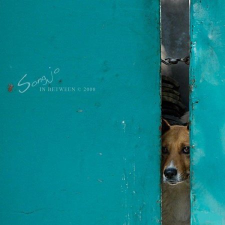 Фотографии Jo Song