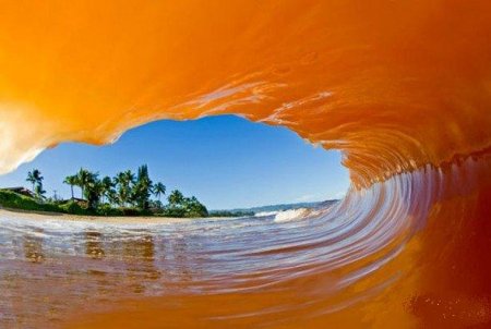 Фотографии Clark Little