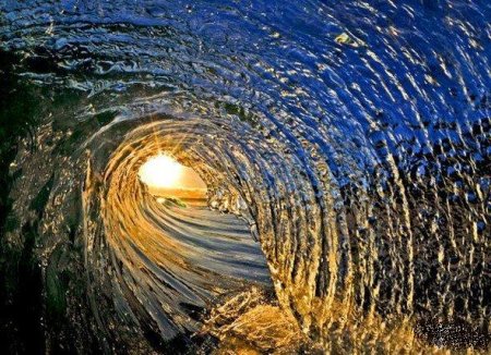 Фотографии Clark Little