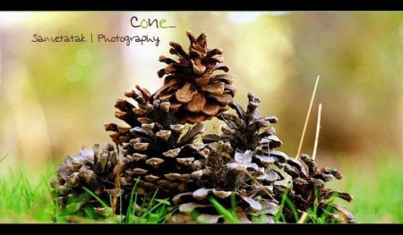 Фотограф Sametatak